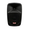 Cabina Activa 10" 100W Pro Dj - Image 3